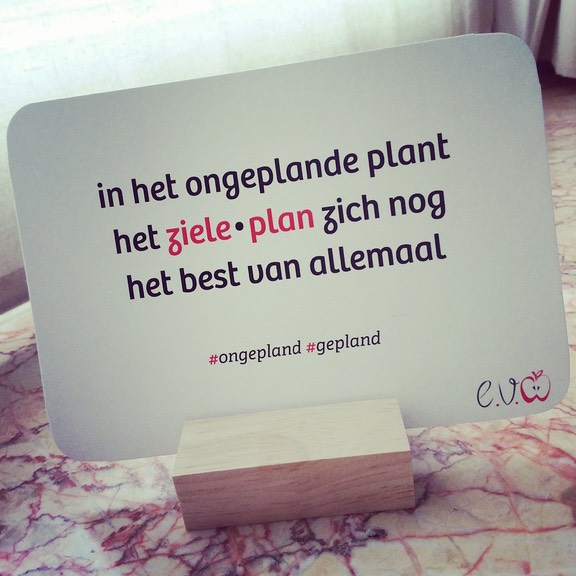 30. ongepland-gepland